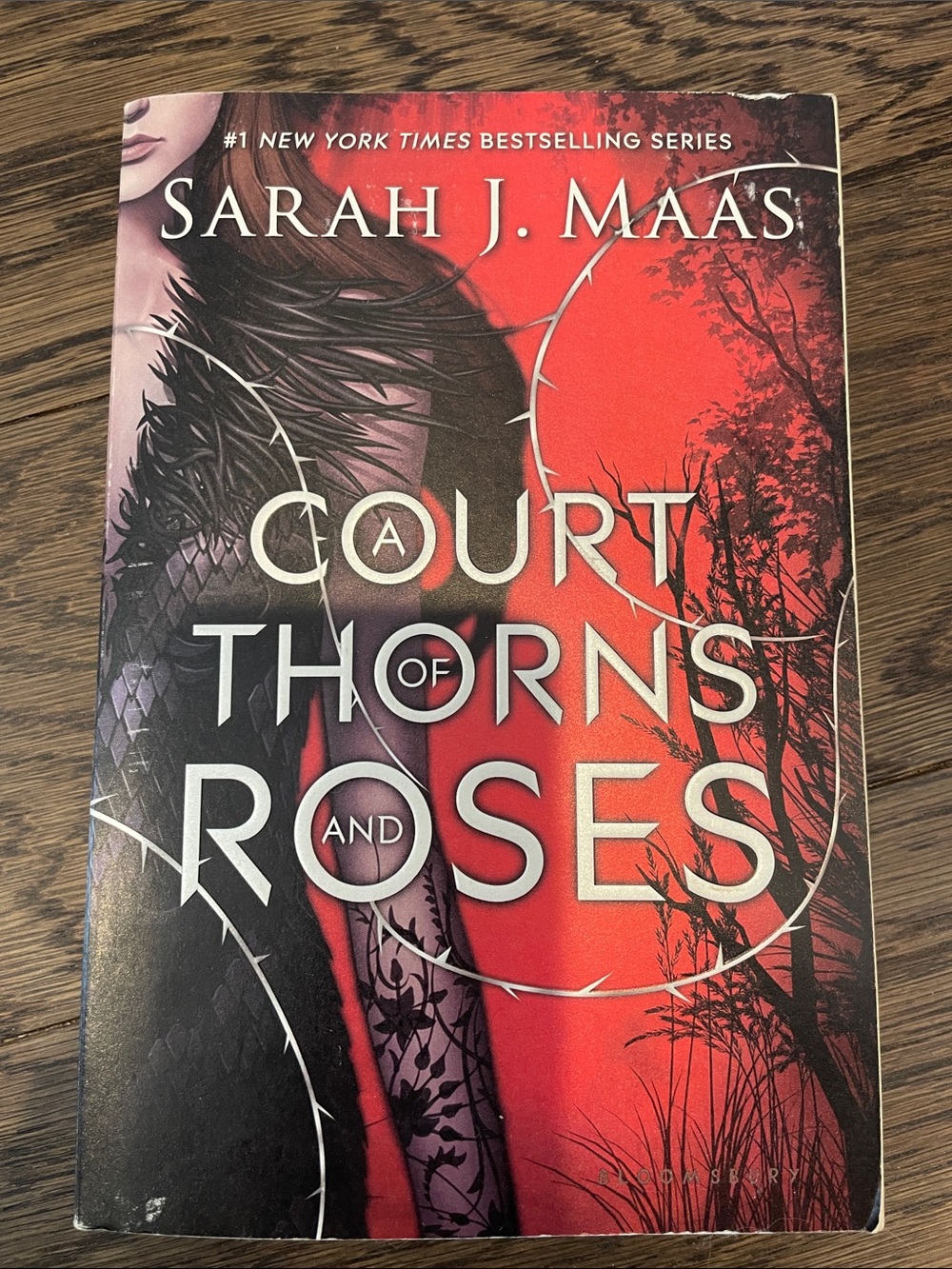 A Court of Thorns and Roses Original Cover Paperback